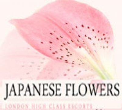 Japanese Flowers